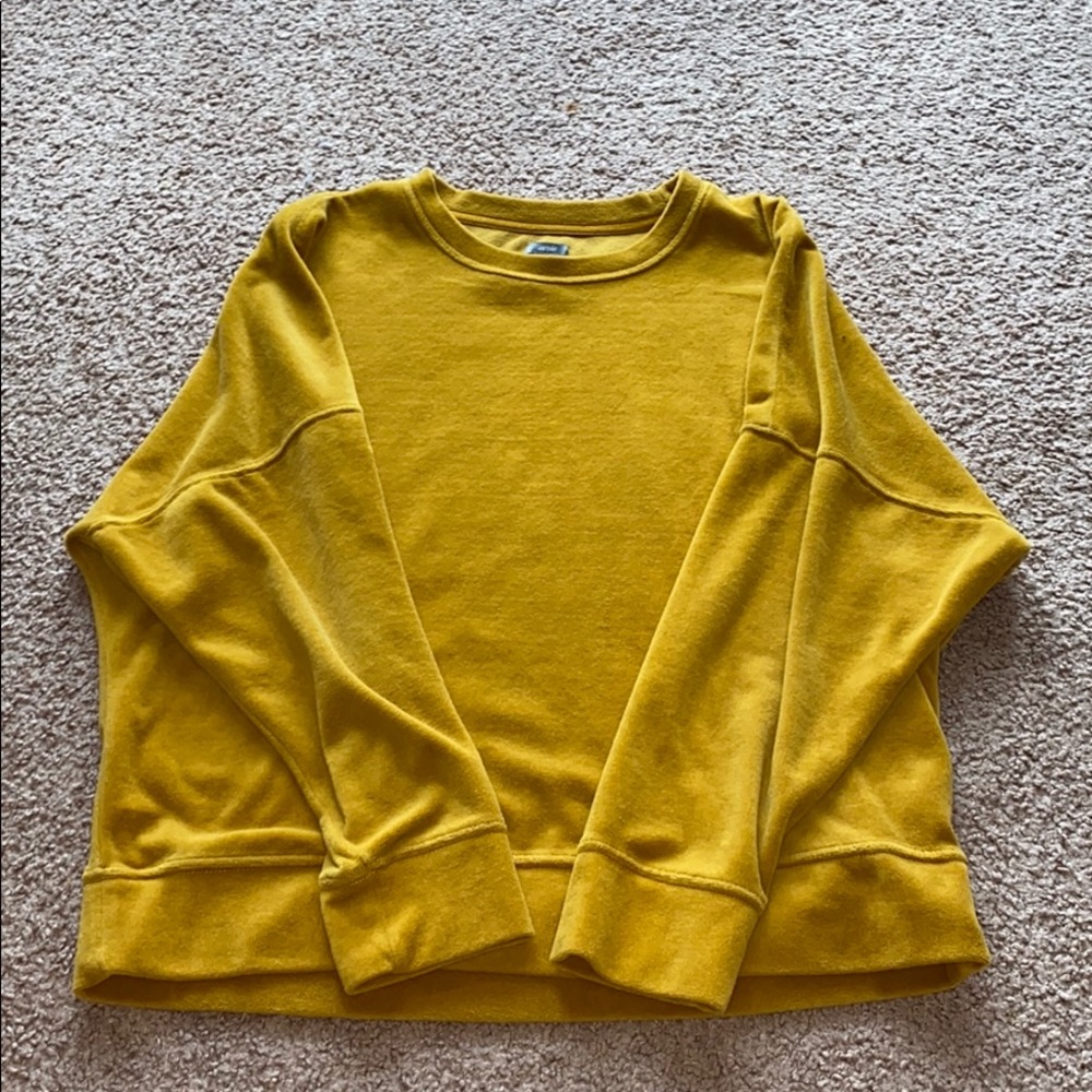 Aerie Sweatshirt
